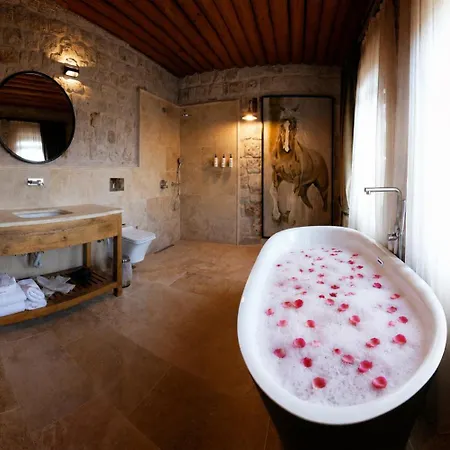 Luvi Cave Hotell 3*